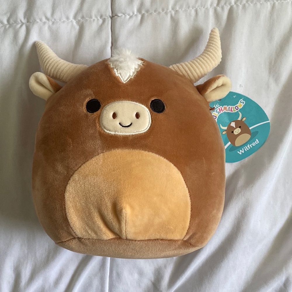 wilfred the bull squishmallow